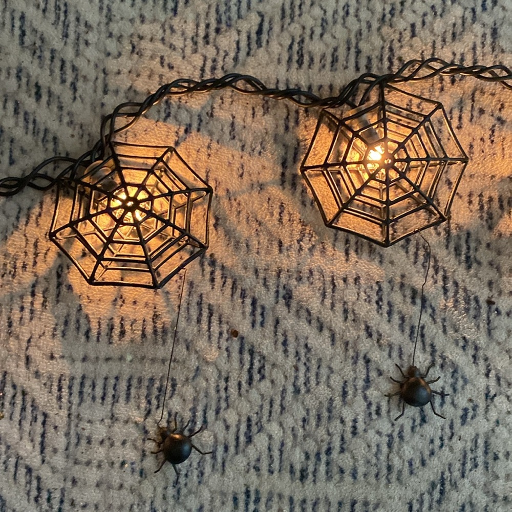 🕸️Spider Web String of Lights